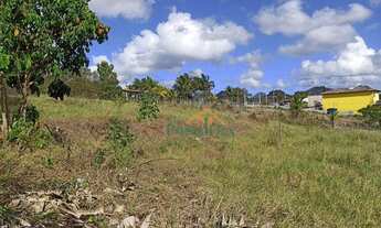 Imagem 4: Terreno à venda, 3777 m² por R$ 650.000,00 - Amarelos - Guarapari/ES