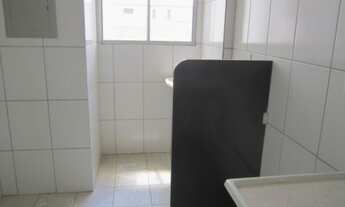 Imagem 5: Homer Captações] --1945185