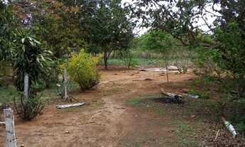 Imagem 4: Vende-se chácara no municipio de Arinos