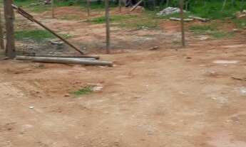 Imagem: Barbada no Rio Tavares top 230 mil