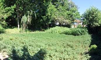 Imagem: VENDA DE TERRENO no Rio Tavares - Florianópolis