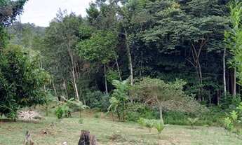 Imagem 4: Fazenda/Sítio/Chácara para venda tem 404100 metros quadrados com 3 quartos