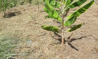Imagem 3: Terreno para Venda em Araruama, Itatiquara