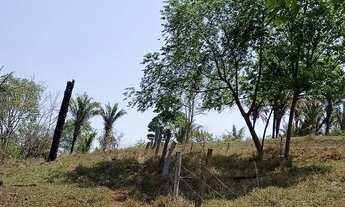 Imagem 6: Fazenda com 30 hectares próximo Taguatinga DF