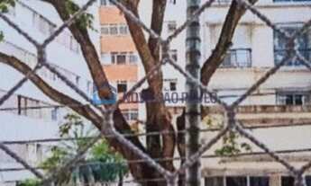 Imagem 3: Apartamento para locação no coração do bairro do Paraíso