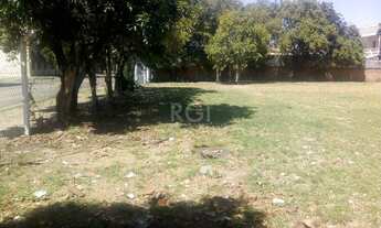 Imagem 2: Porto Alegre - Terreno Padrão - Floresta