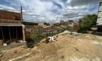 Imagem: Lotes castanheira(3 unidades juntas