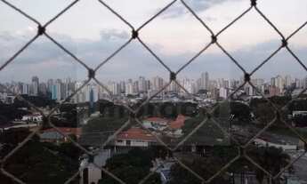 Imagem 4: São Paulo - Apartamento Padrão - Planalto Paulista