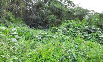 Imagem 3: Vendo oito Chácaras em Paraty