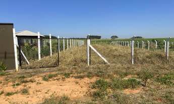 Imagem 2: Chácara 1000 metros quadrados