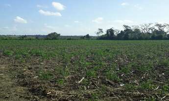 Imagem 5: Ótima Fazenda em monte alegre com 20 hectares com o rio Trairi