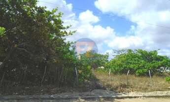 Imagem 4: TERRENO para aluguel, Eusébio - EUSÉBIO/CE