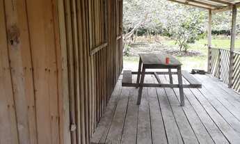 Imagem: Sítio no Novo Airão