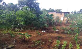 Imagem 9: Cháchara Jardim são José