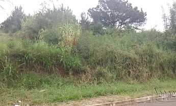 Imagem: ÁREA Rondônia Novo Hamburgo