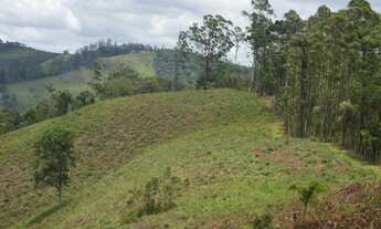 Imagem 3: Terreno com acesso à rodovia