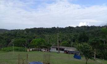 Imagem 7: Fazenda/Sítio/Chácara para venda tem 404100 metros quadrados com 3 quartos