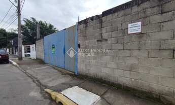 Imagem: NOVO HAMBURGO - Terreno Padrão - Operário