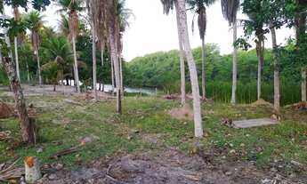 Imagem 7: Sítio para venda 1000M² a 5km de praia grande, em iriri fundão - SI64