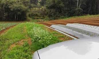 Imagem 4: Chácara à venda em Colônia Murici - São José dos Pinhais