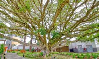 Imagem 6: Porto Alegre - Apartamento Padrão - Camaquã