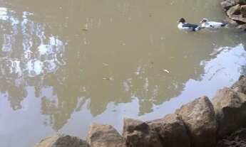 Imagem 4: Vende-se uma chácara no Caraá, por apenas R$190 mil reais