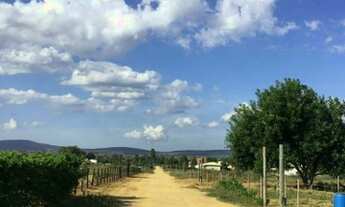 Imagem: Sítio medindo 4.000m2 próximo ao Haras