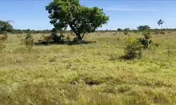 Imagem 2: Fazenda na região de Marianópolis/Divinópolis/Caseara/Abreulândia