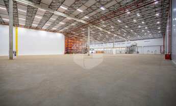 Imagem 4: Galpão - Chácaras São Martinho - Campinas