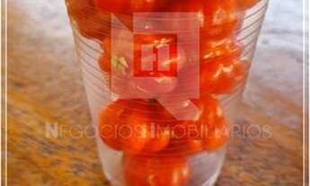 Imagem 4: Chácara com 11.700 m² no condomínio Veredas do Lago em Trindade GO