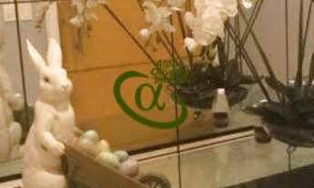 Imagem 3: Venda- Casa mobiliada com 4 suítes em Condomínio Residencial de Alphaville