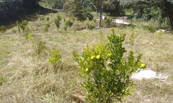 Imagem 4: Vendo Chácara com venda por R$950.000