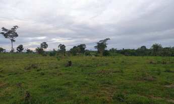 Imagem 3: CHACARA 5 ALQ. EM ROLIM DE MOURA RO