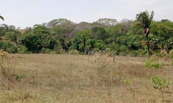 Imagem 2: Fazenda com 30 hectares próximo Taguatinga DF