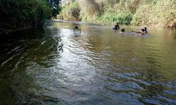 Imagem 2: Chácara A Venda Com Casa Trindade - Goiás Com Água