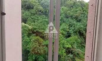 Imagem 6: Vista verde, no Leme!