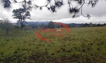 Imagem 3: Terreno à venda por R$ 1080000.00, 10000.00 m2 - CENTRO - QUATRO BARRAS/PR