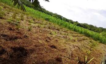 Imagem 7: 153. Chácara com rio no Distrito De Bonfim - Jaraguari/MS