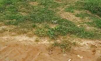 Imagem 5: Terreno Terreno / lote com venda por R$45.000