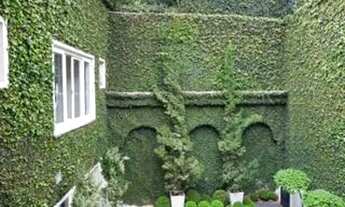 Imagem 7: Casa sobrado disponível para locação em Vila Hortência - São Paulo - SP