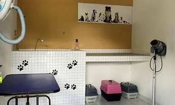 Imagem 6: Apartamento à venda no Condomínio Bossa Nova, no bairro Jabotiana