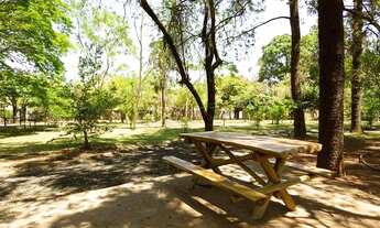 Imagem 2: Sao Carlos - Apartamento Padrão - Parque Sabara