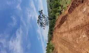 Imagem 6: Oportunidade Chácara em Moeda MG a 68 km de BH