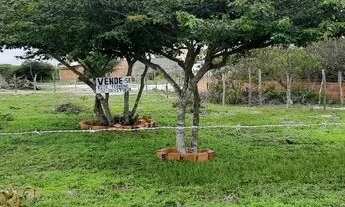 Imagem 2: TERRENO EM SANTO AMARO DO MARANHÃO-MA