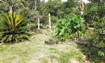 Imagem 3: Sitio Chácara com venda por R$220.000