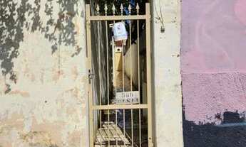 Imagem: Casa para aluguel tem 80 metros quadrados