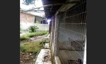 Imagem 7: Casa com terreno gigante