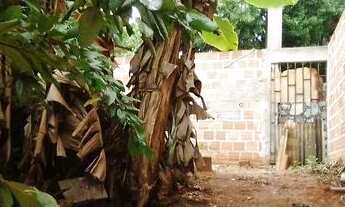 Imagem 4: Vendo terreno em Cajazeiras