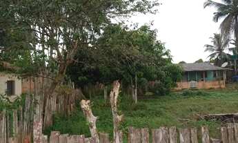 Imagem 4: Terreno com Casa, Árvores Frutíferas e Localização Privilegiada na Comunidade MarcosFreire