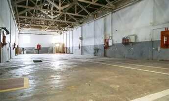 Imagem 5: Galpão-São Paulo-BARRA FUNDA